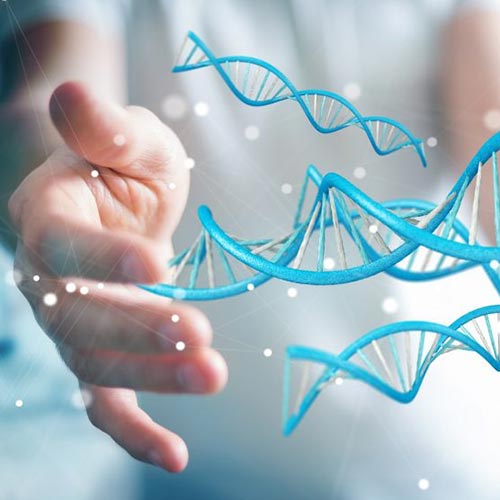 Евристичні алгоритми