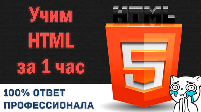 Відеоурок по HTML