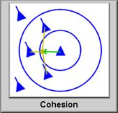 Cohesion