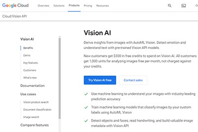 Google Vision AI