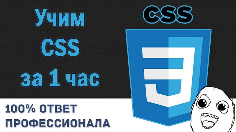 Учим CSS за 1 Час! #От Профессионала